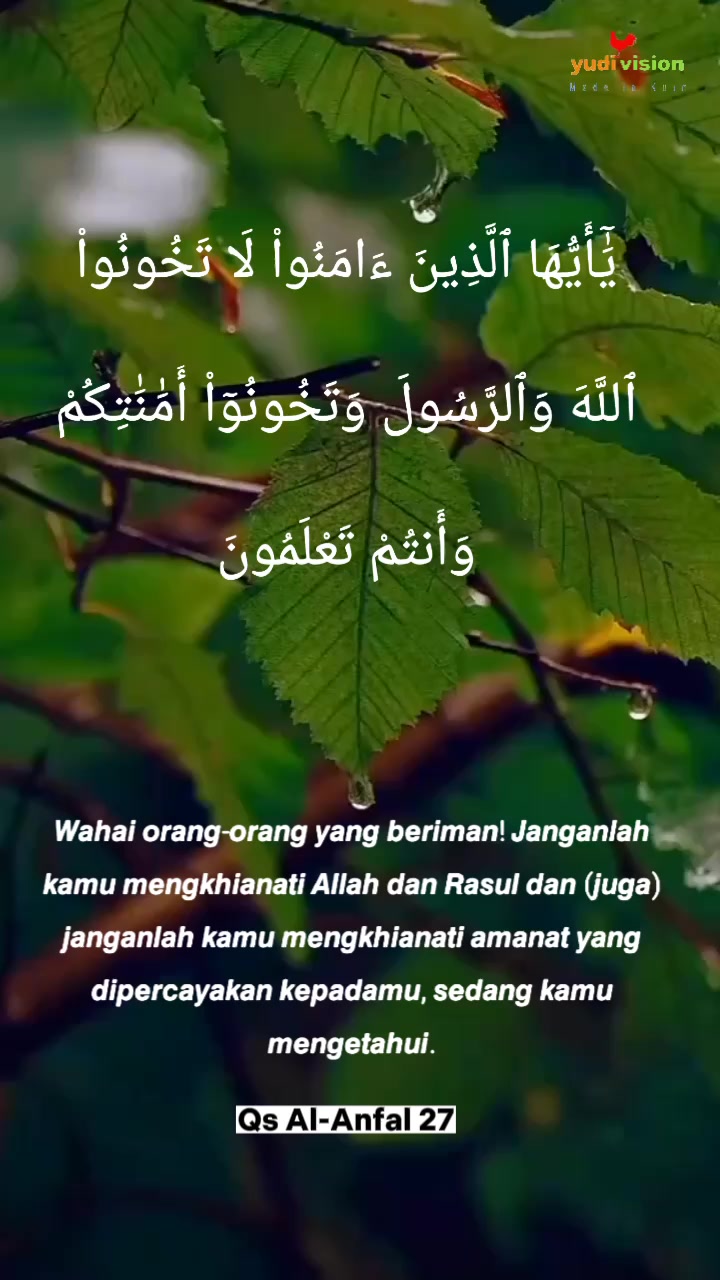 @Farida Far