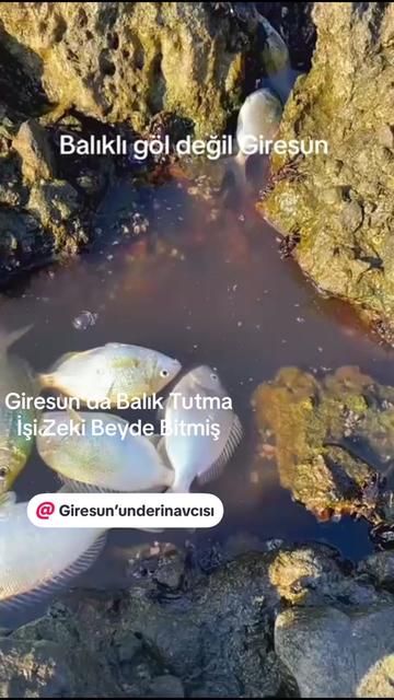 @🇹🇷 GİRESUN 🇹🇷KALESİ28 🇹🇷