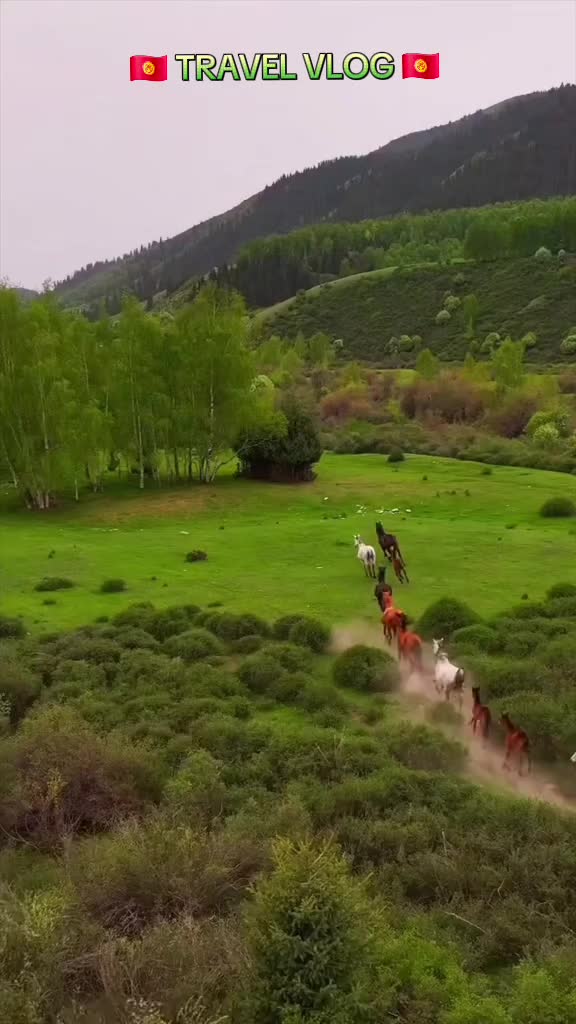 @almazmyrza_09🇰🇬