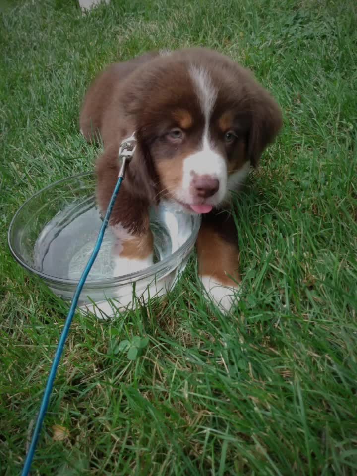 @Hadley and kooper ( my dog) ๐