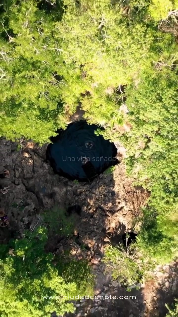 @Ciudad Cenote