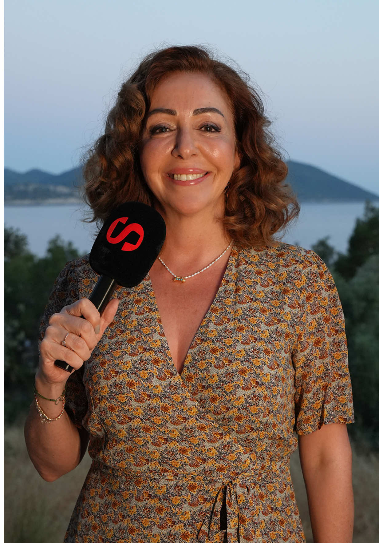 @Sinemori