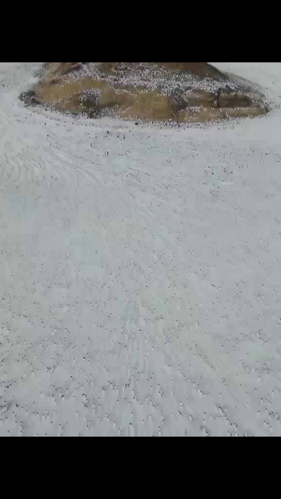 @55555555