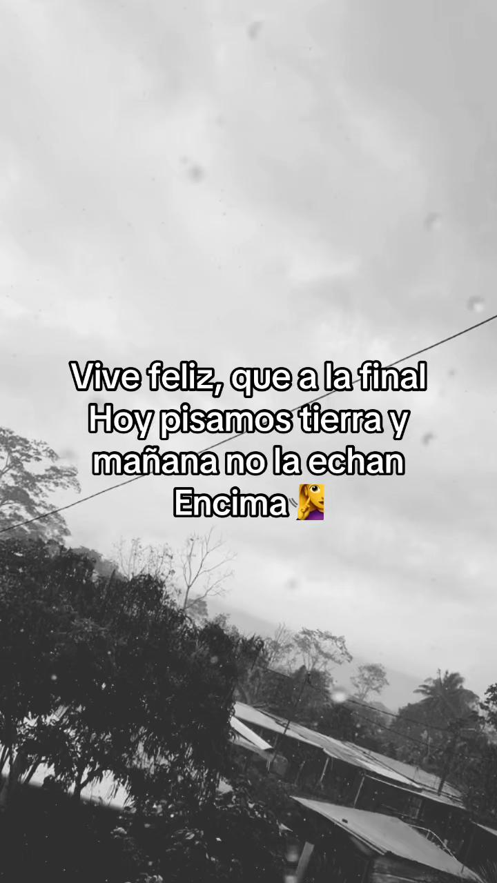 @Alexa_oficial_