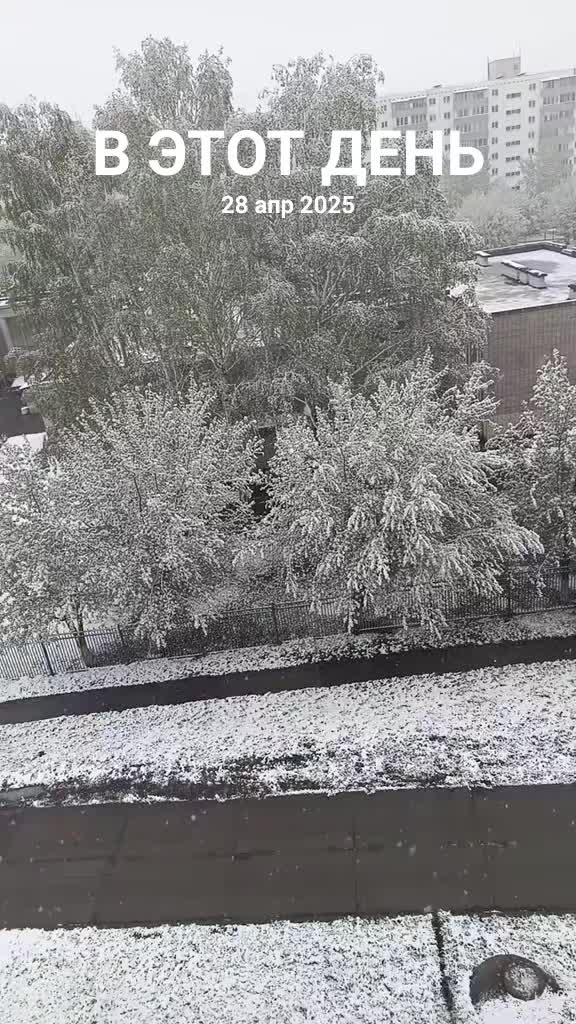 @🧿Счастливая 🧿