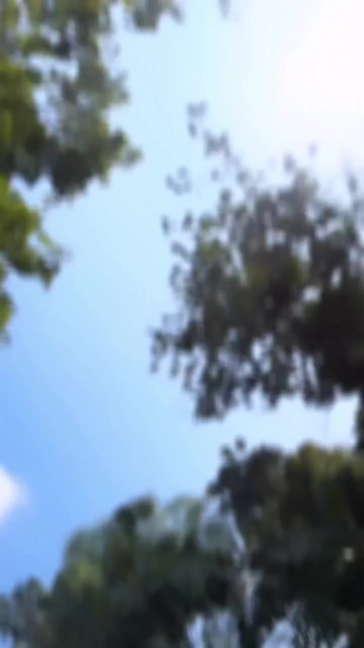 @S H A V A N I