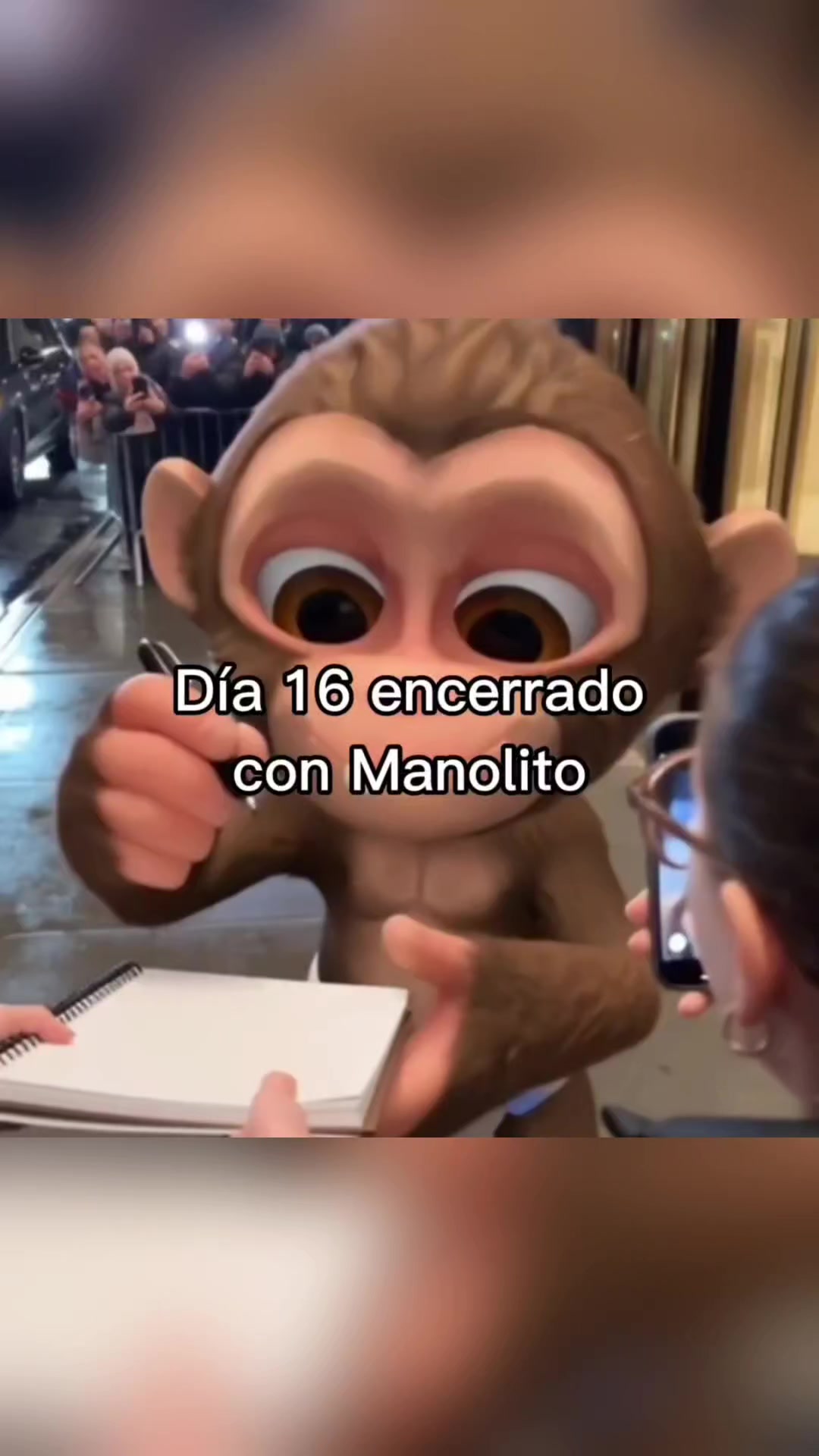 @BolilloVR