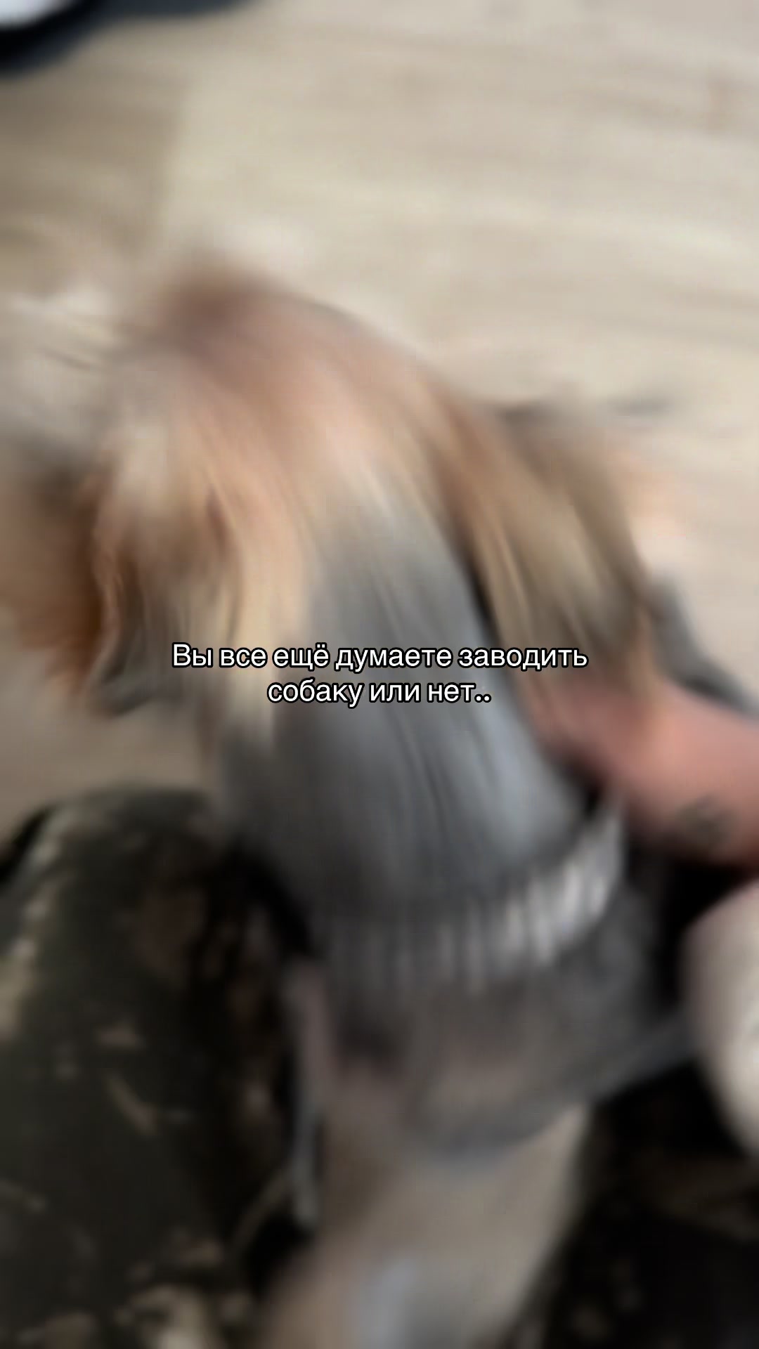 @Райдер