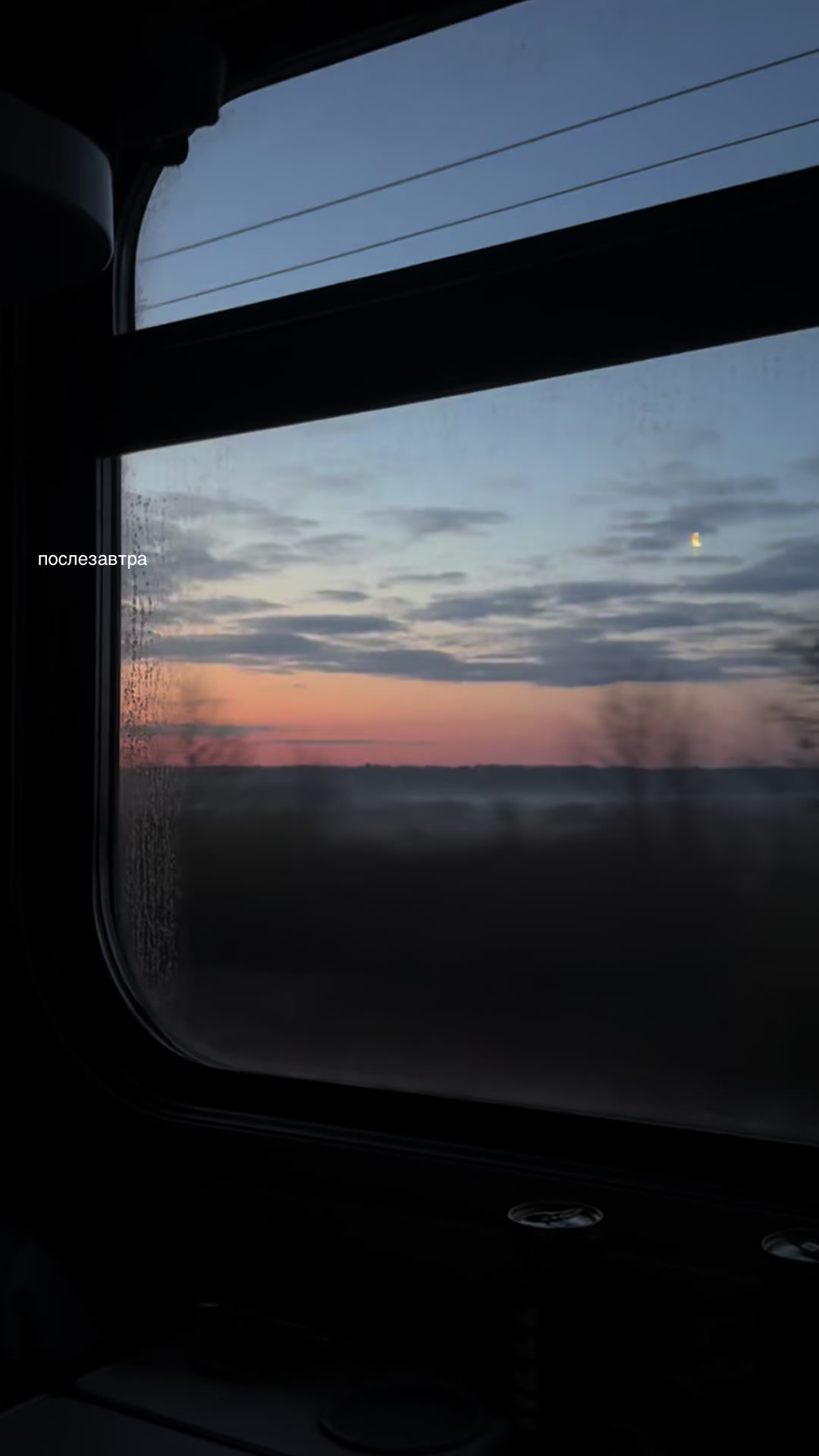@сейкора