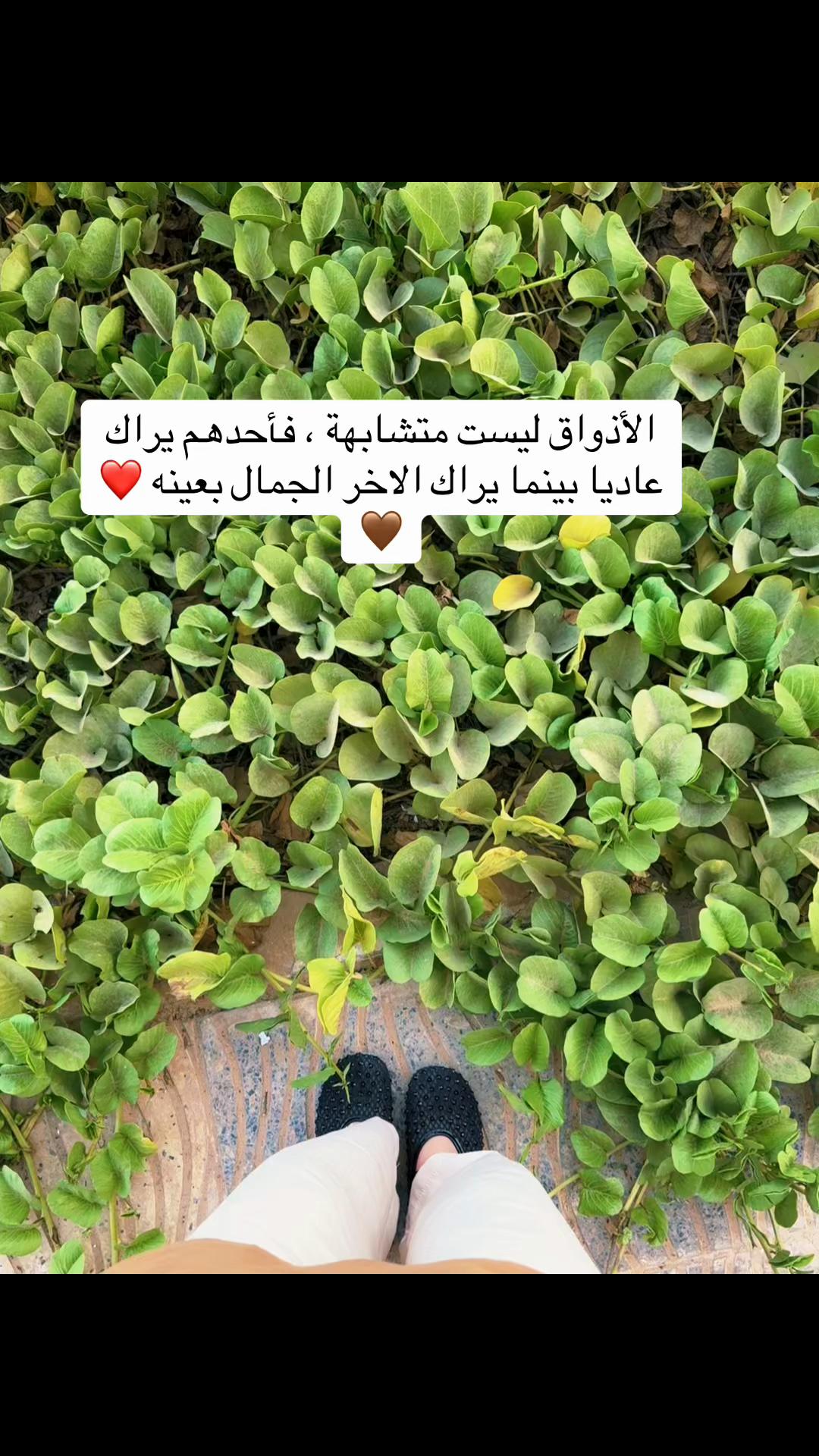 @Imane 🦢