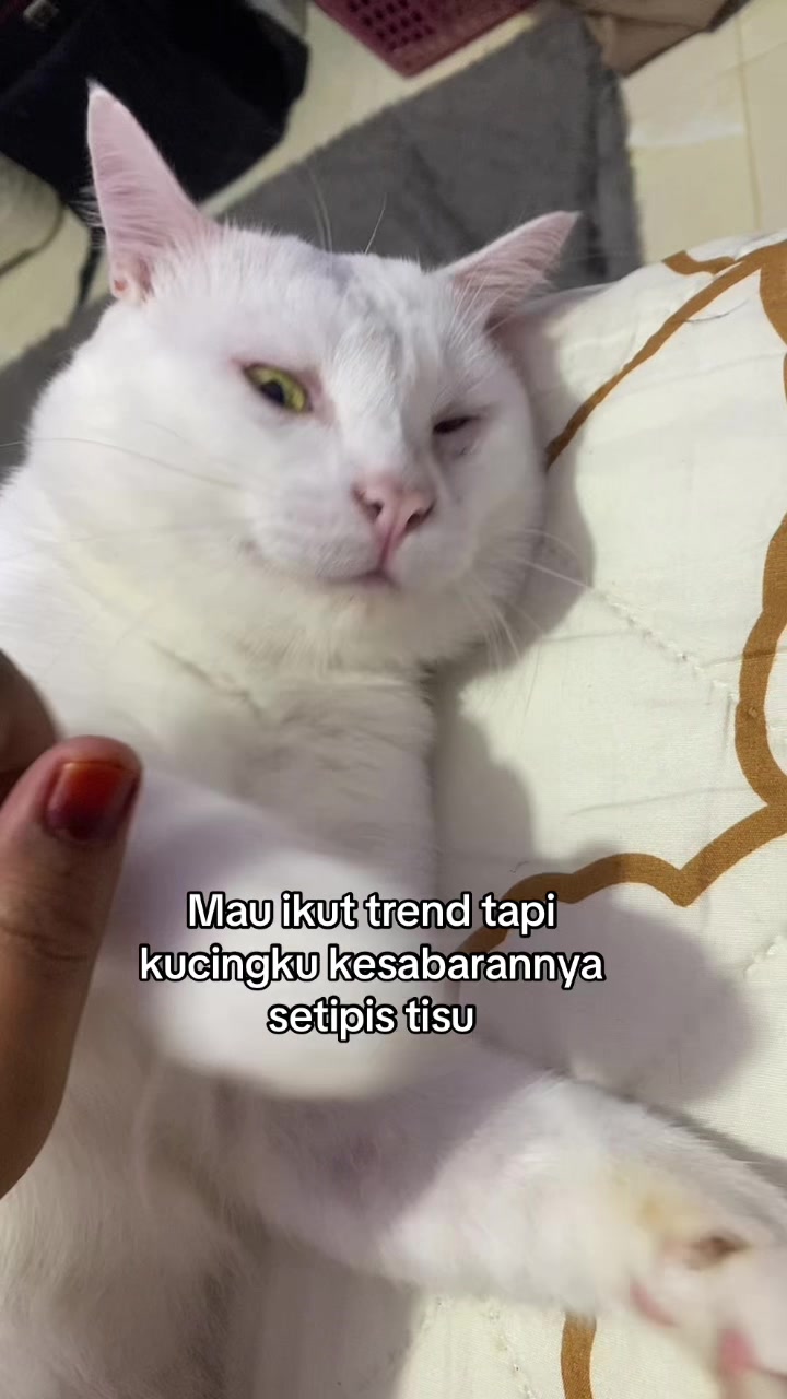 @Atika taqqiyah