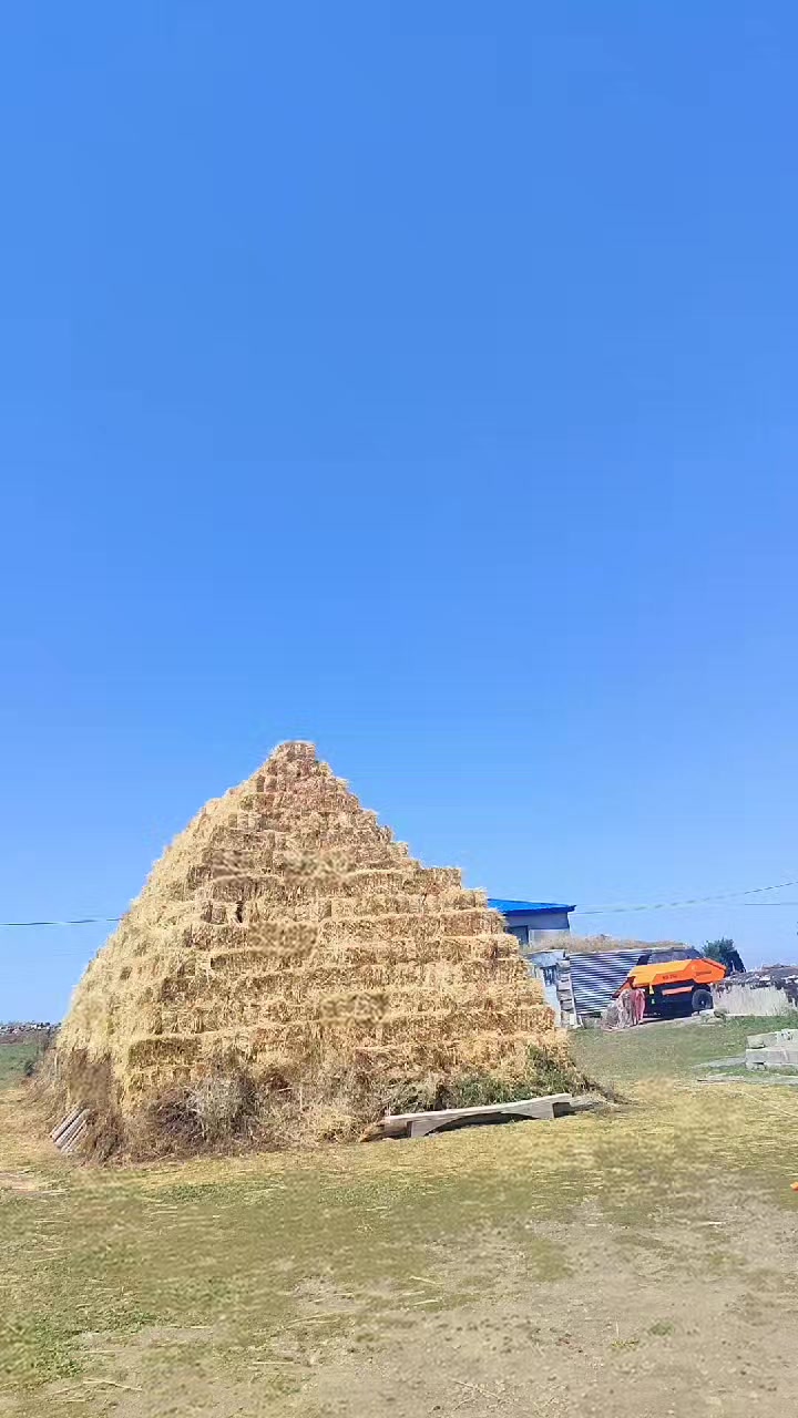 @Ahmet 36