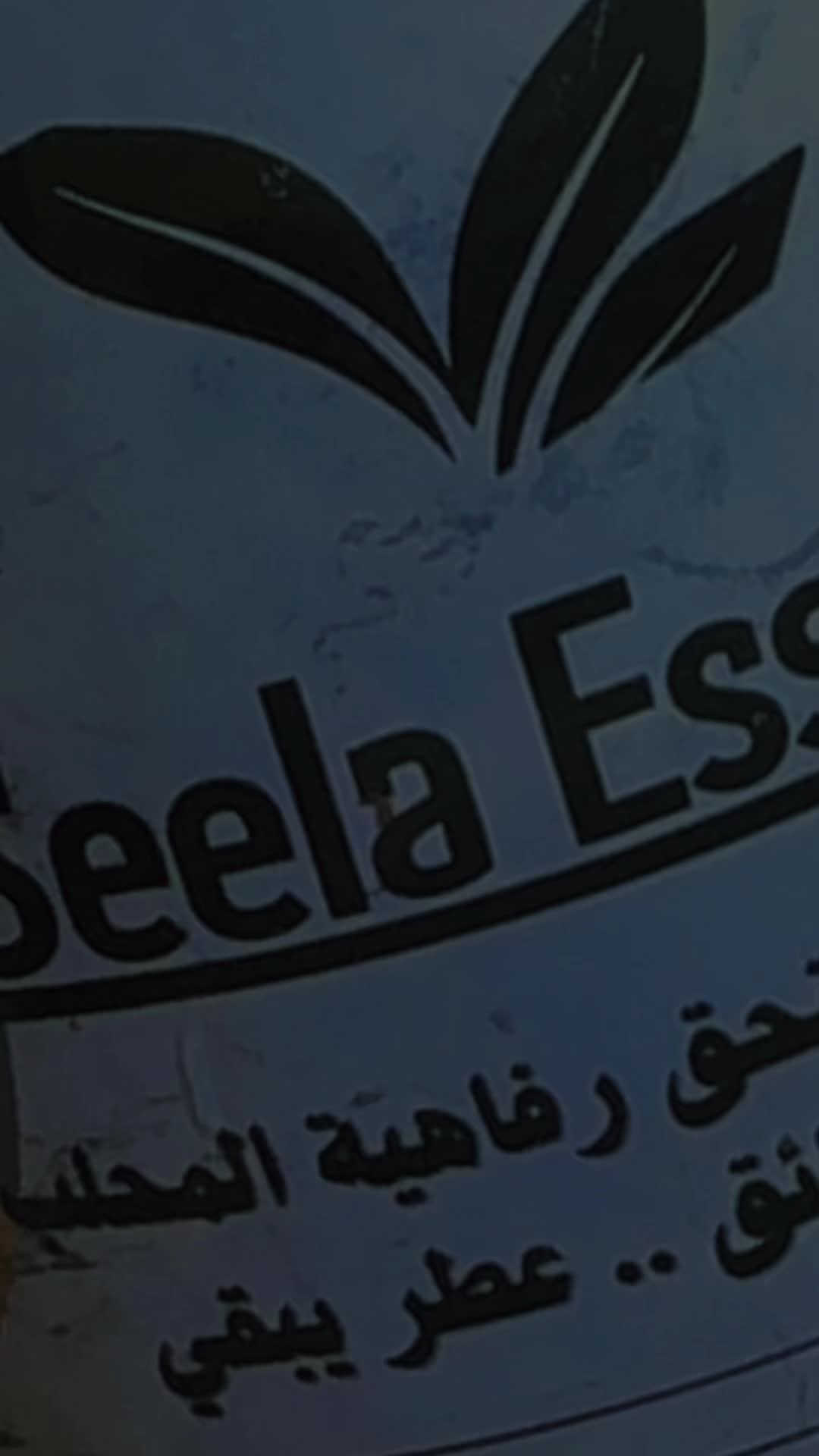 @Seela Essence🍃