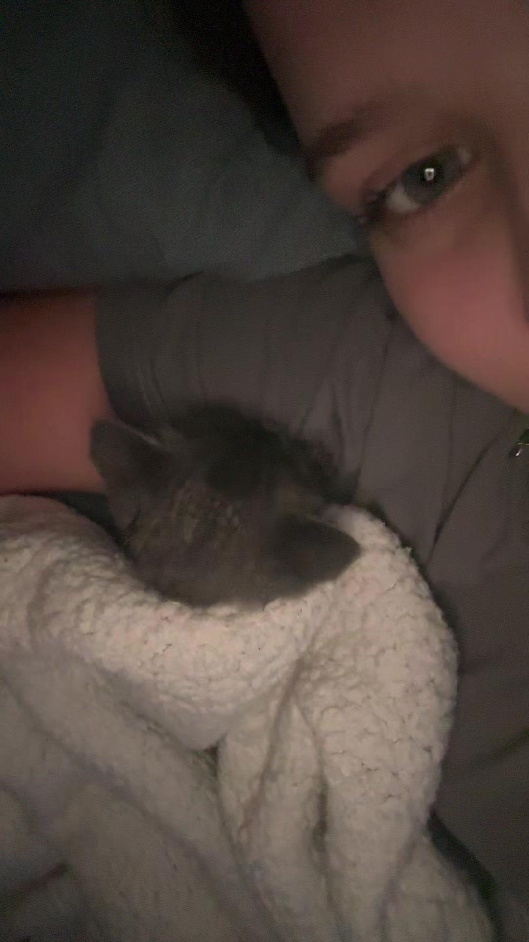 @𝑫.𝑫.🐈&zwj;⬛