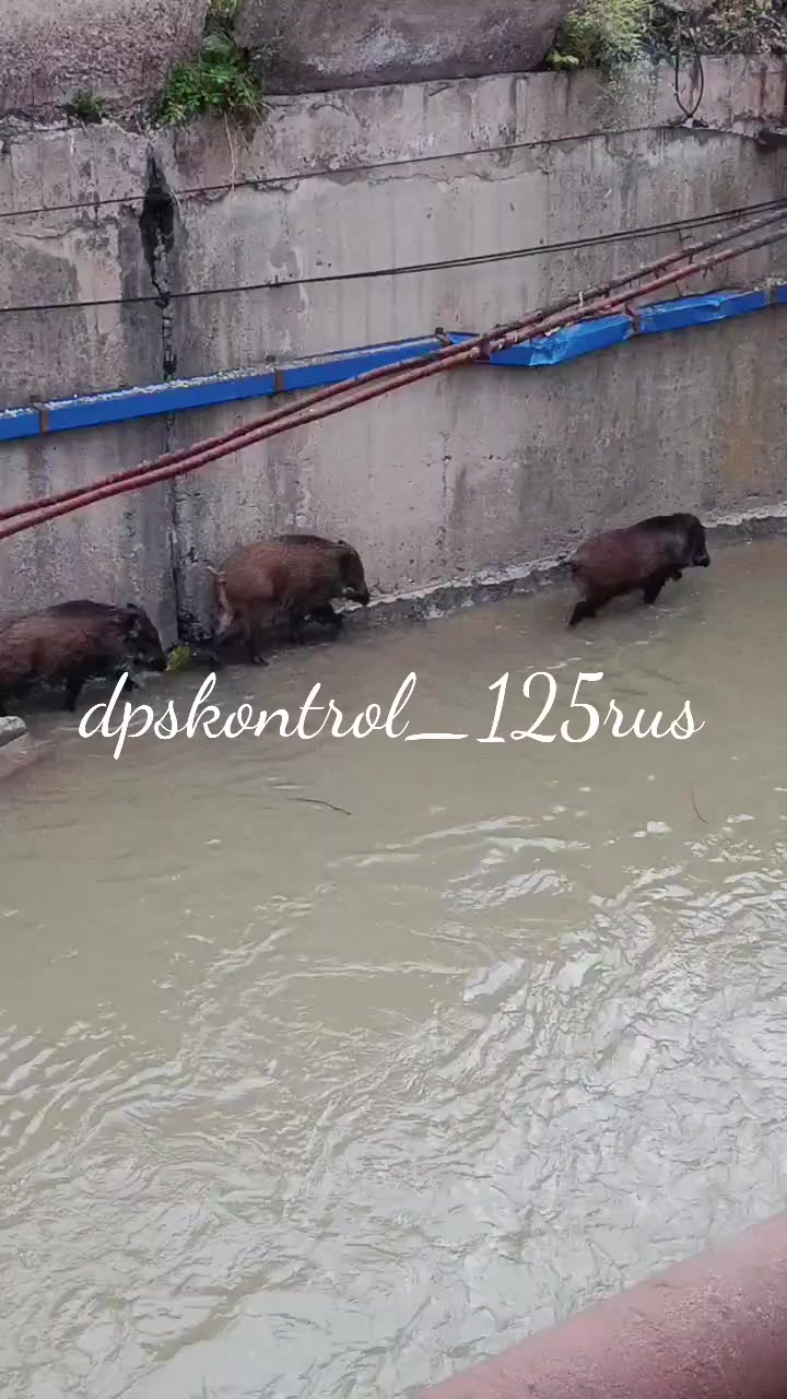 @Александр