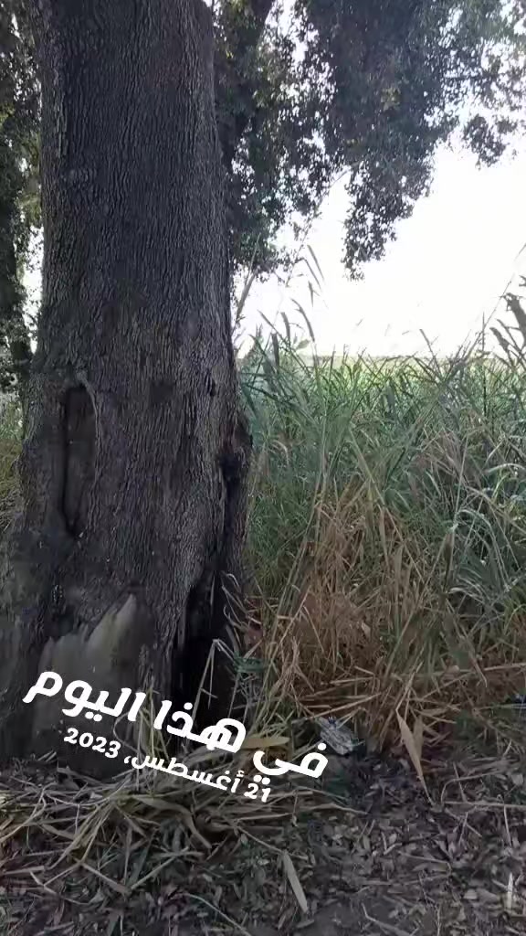 @KERDOUGHELI