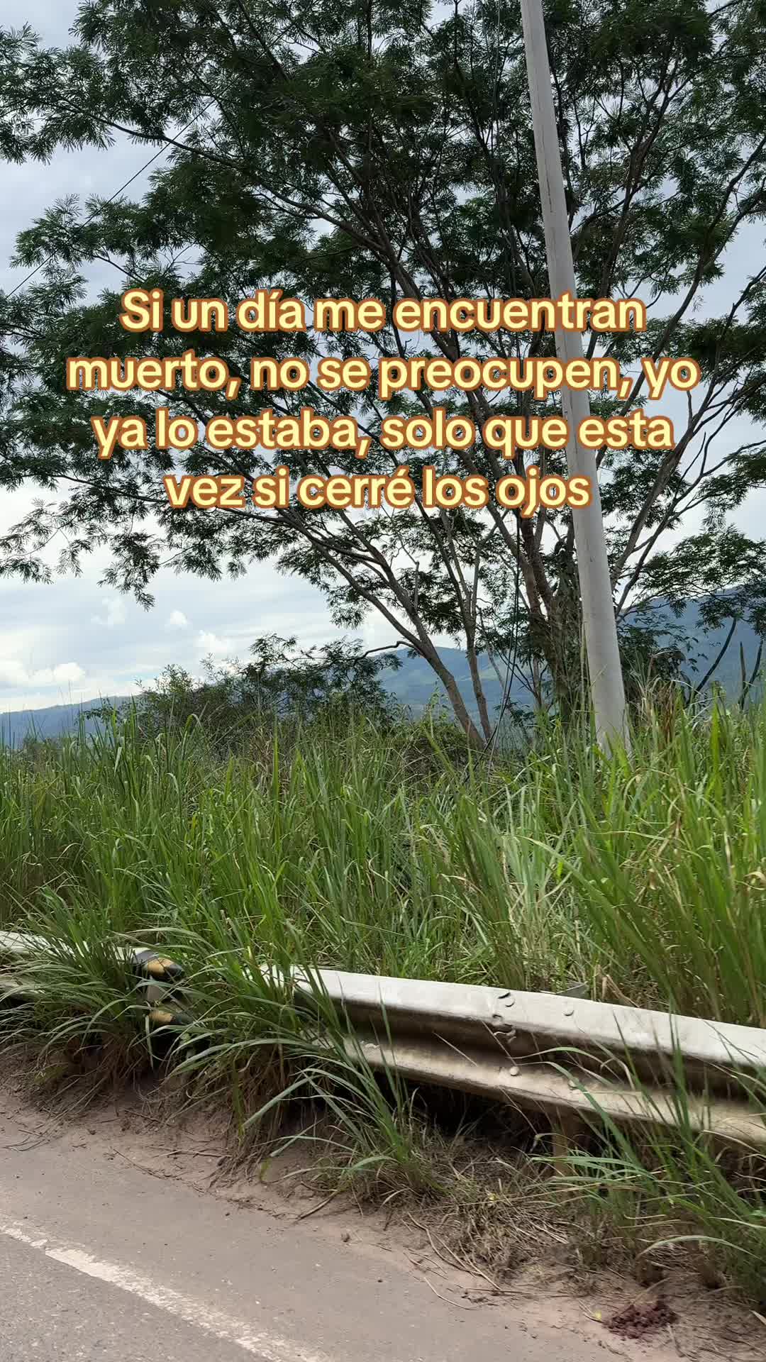 @Orlando Saavedra San