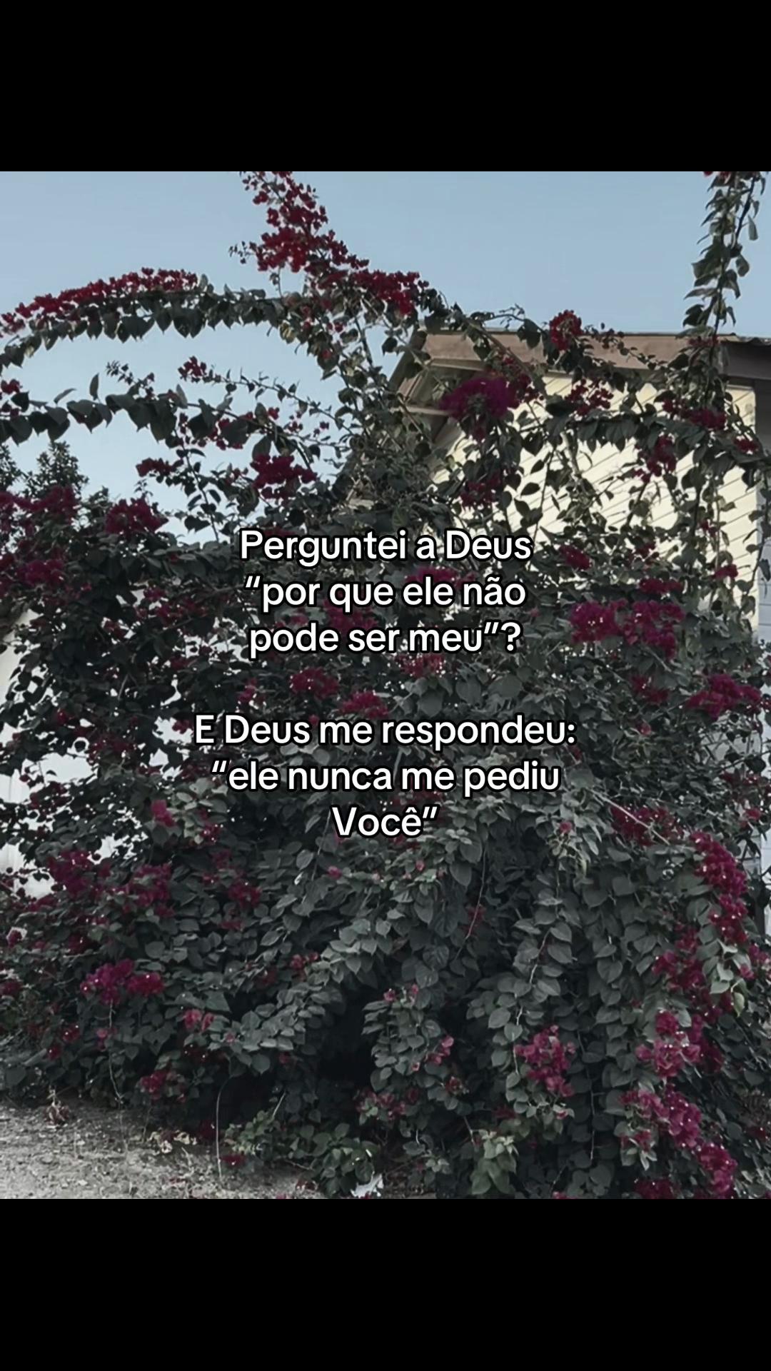 @_corte_frases
