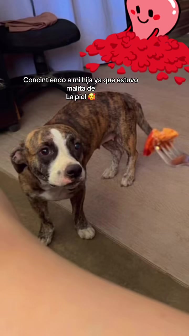 @Sol Martinez