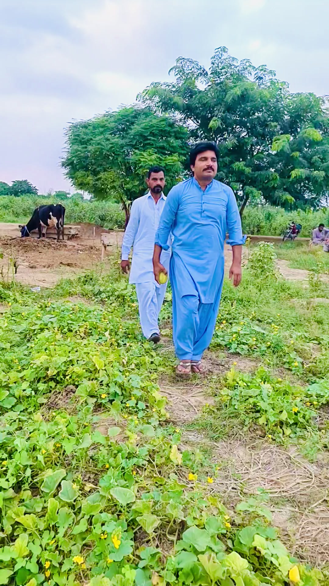 @Ali Faisal Jutt