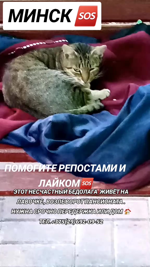 @marinka20_09