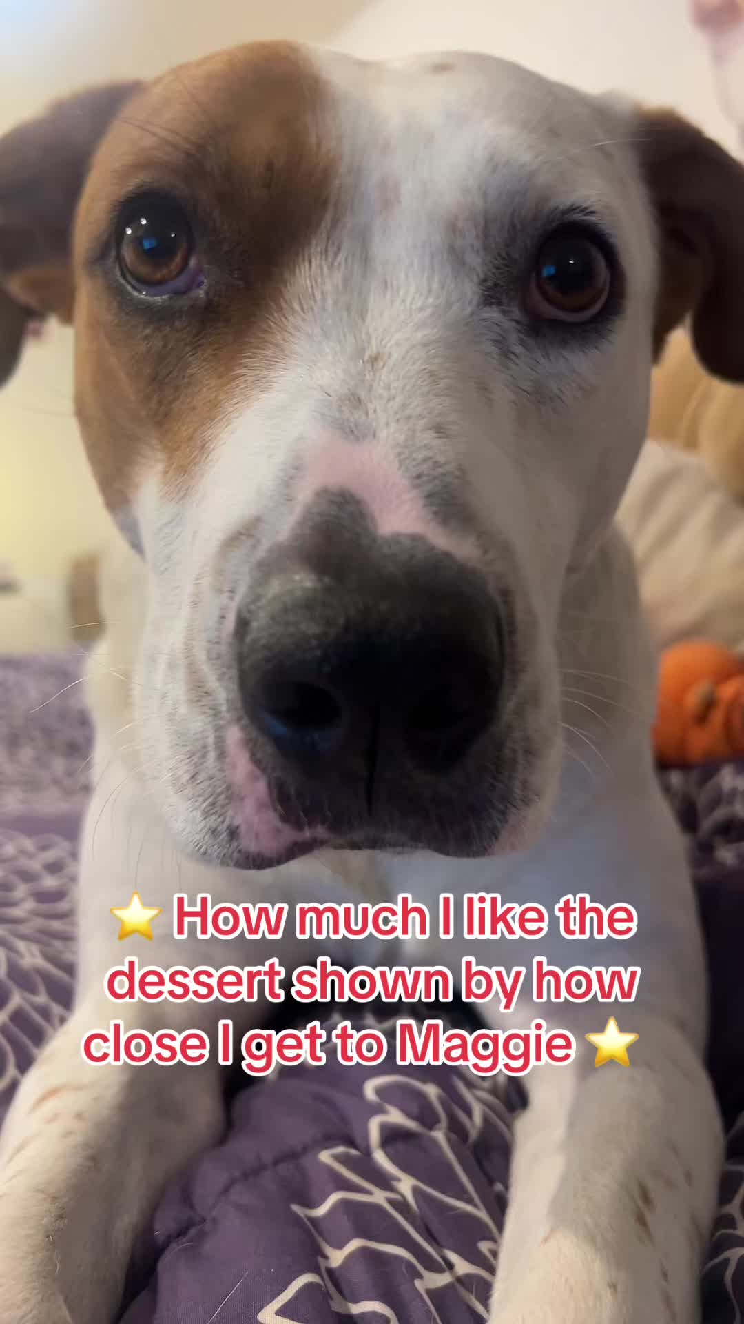 @maggieandmartha