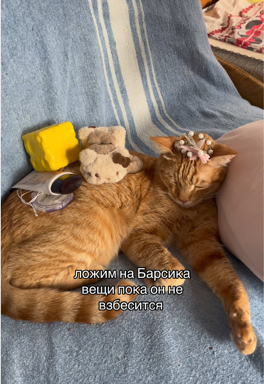 @лейлочка тгк:amoremio