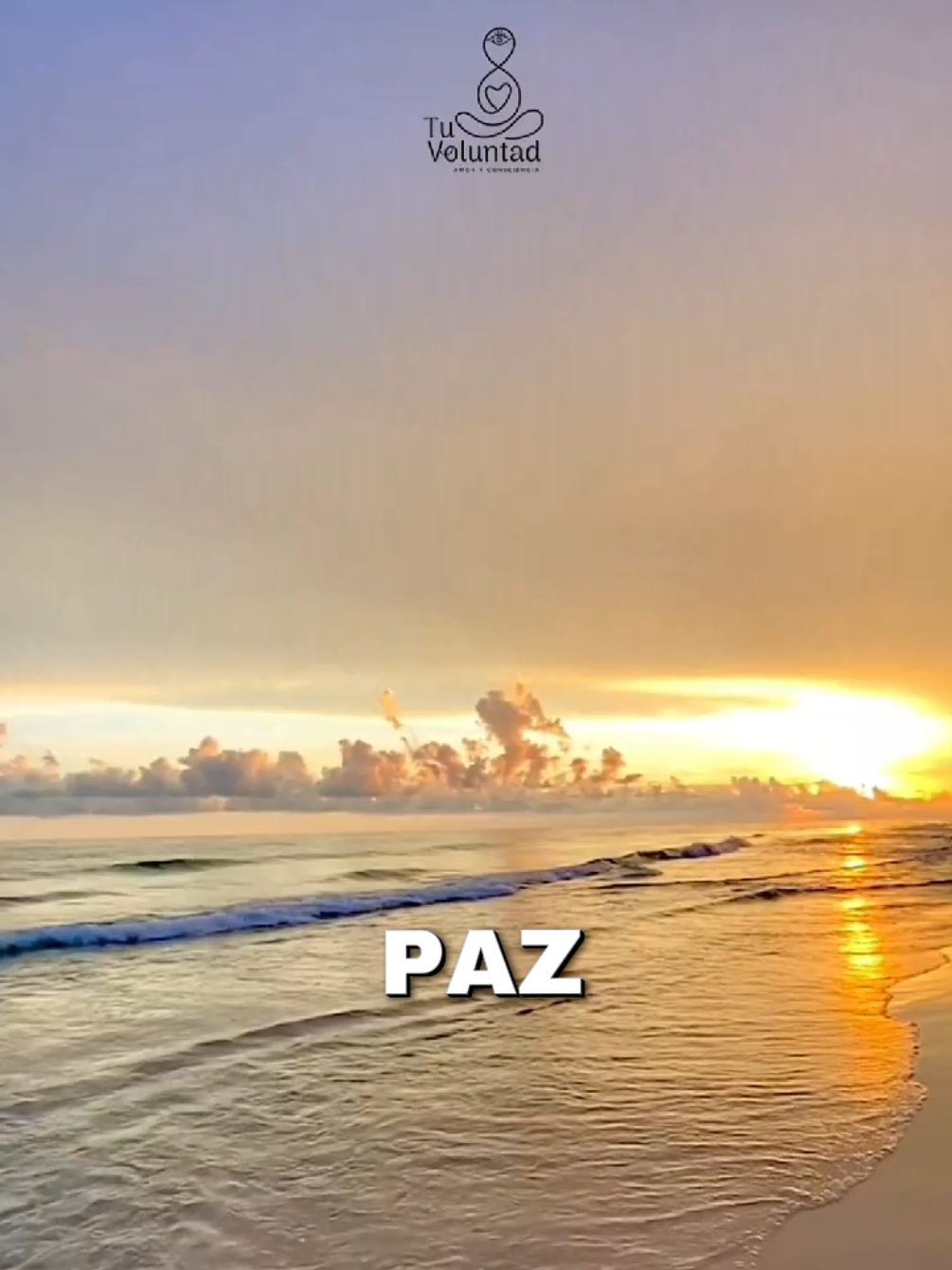 @Tu Voluntad