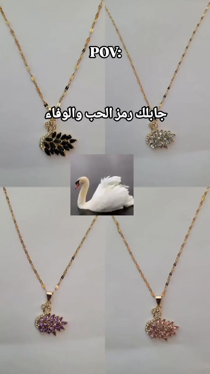 @&Eacute;l&eacute;gance-Accessoires
