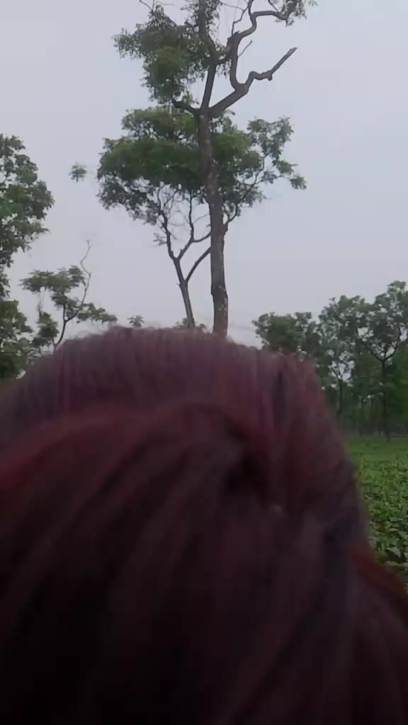 @सानु🫶🏻🌹