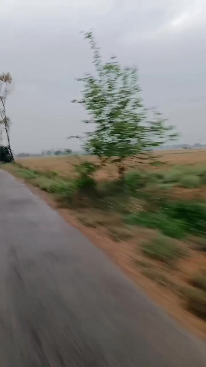 @chaudhary saab