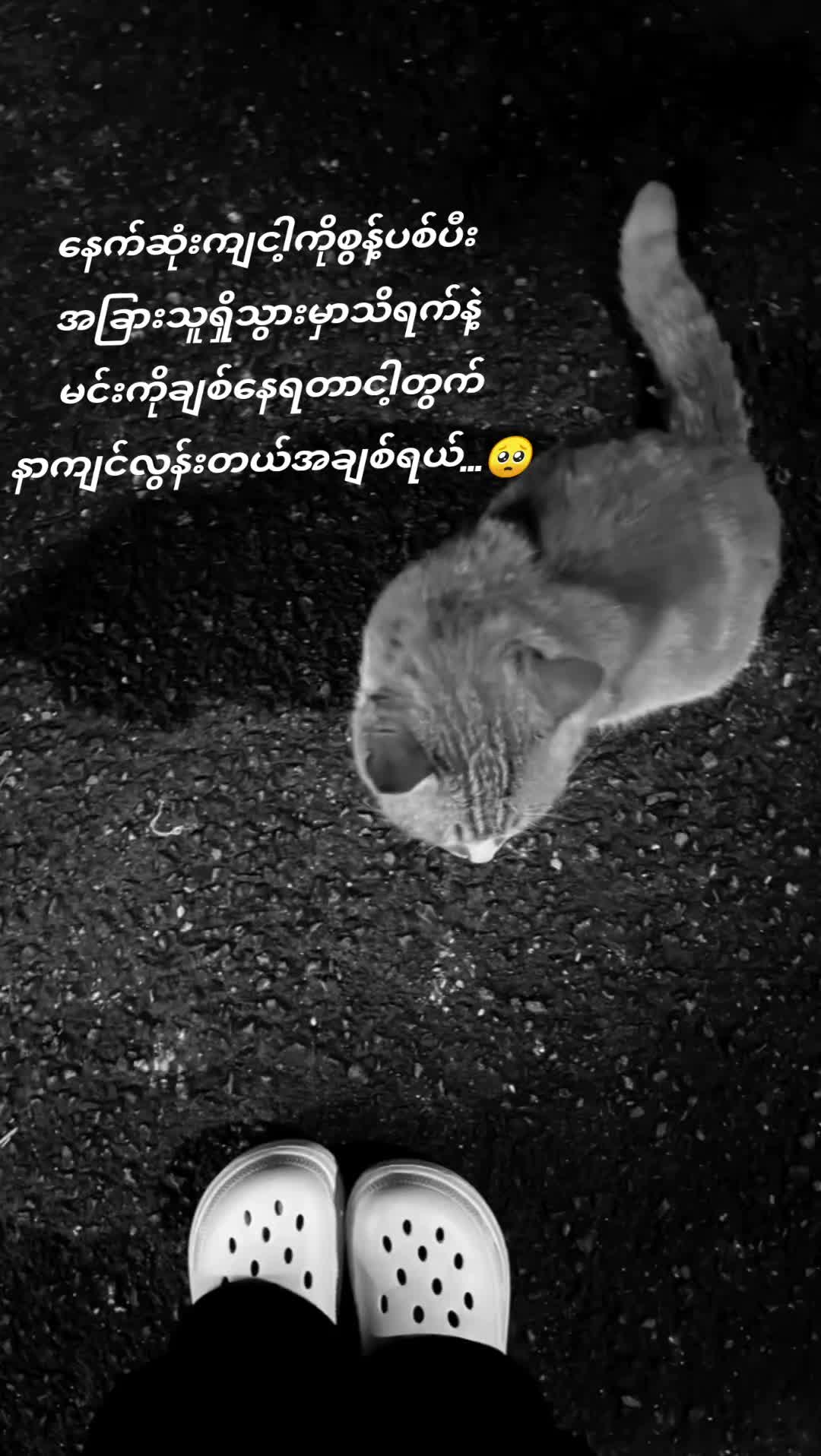 @💙Sky lar💭