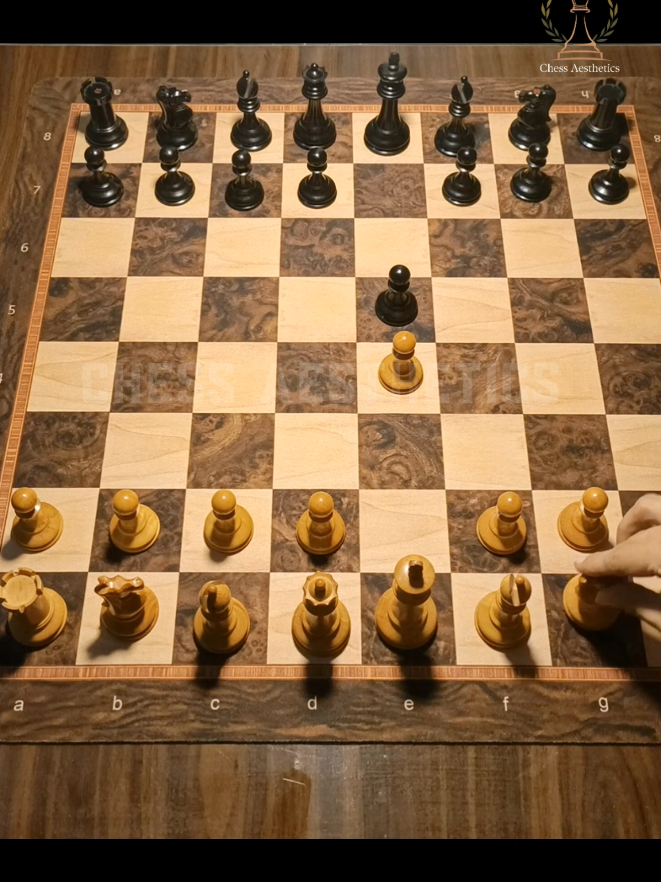 @Chess Aesthetics