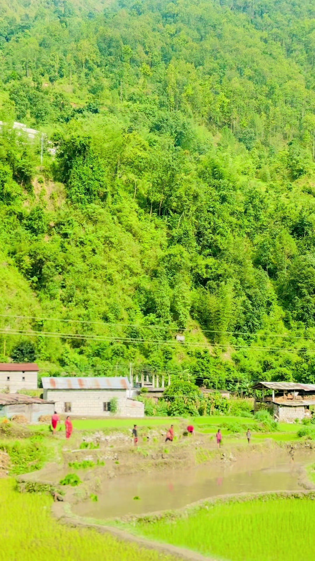 @Sanchita Dahal