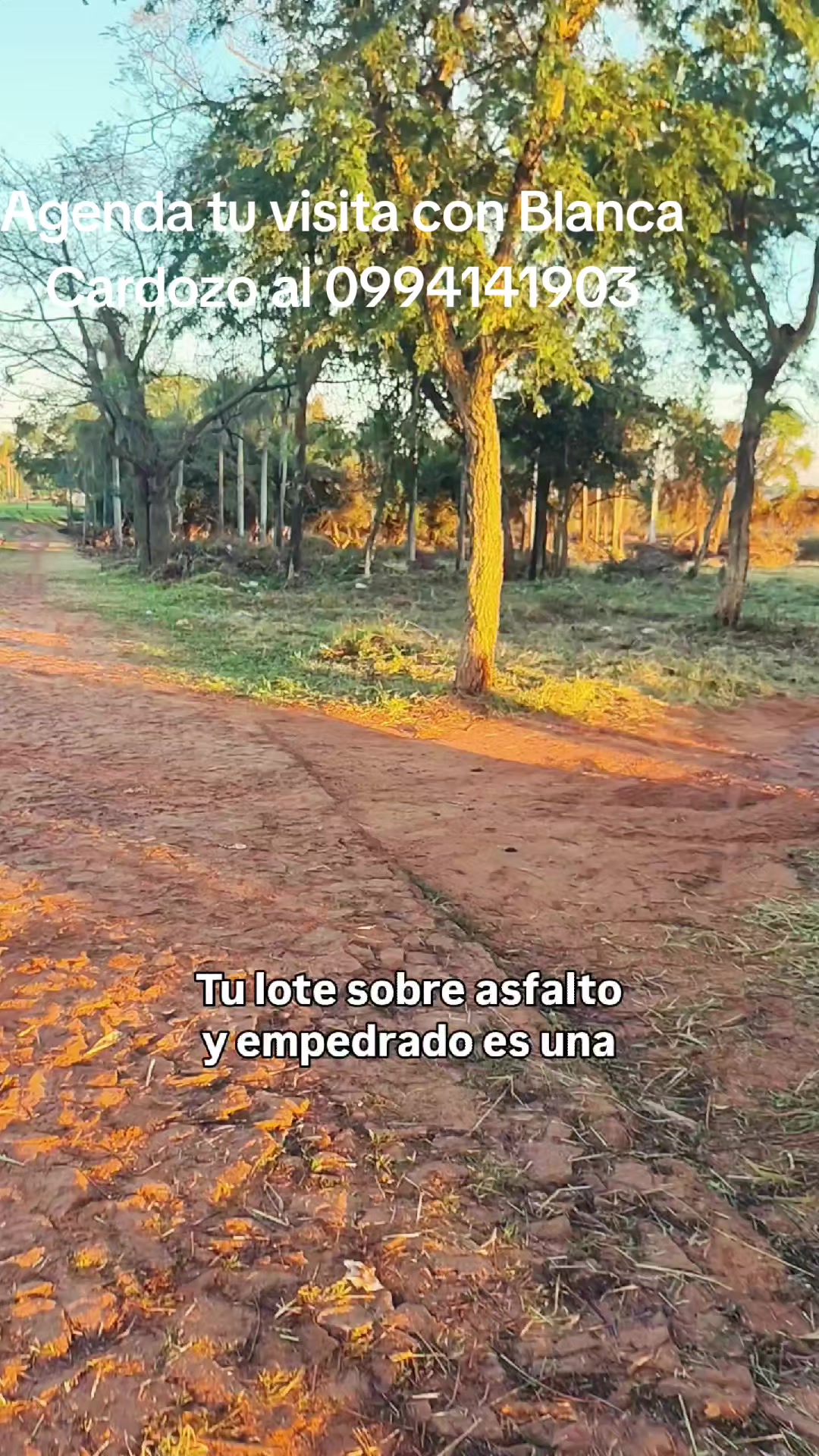 @Blanca Cardozo
