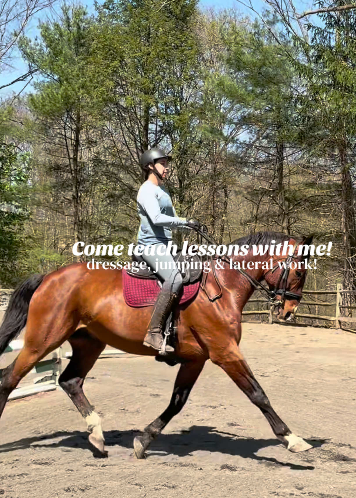 @Lunar Hill Equestrian