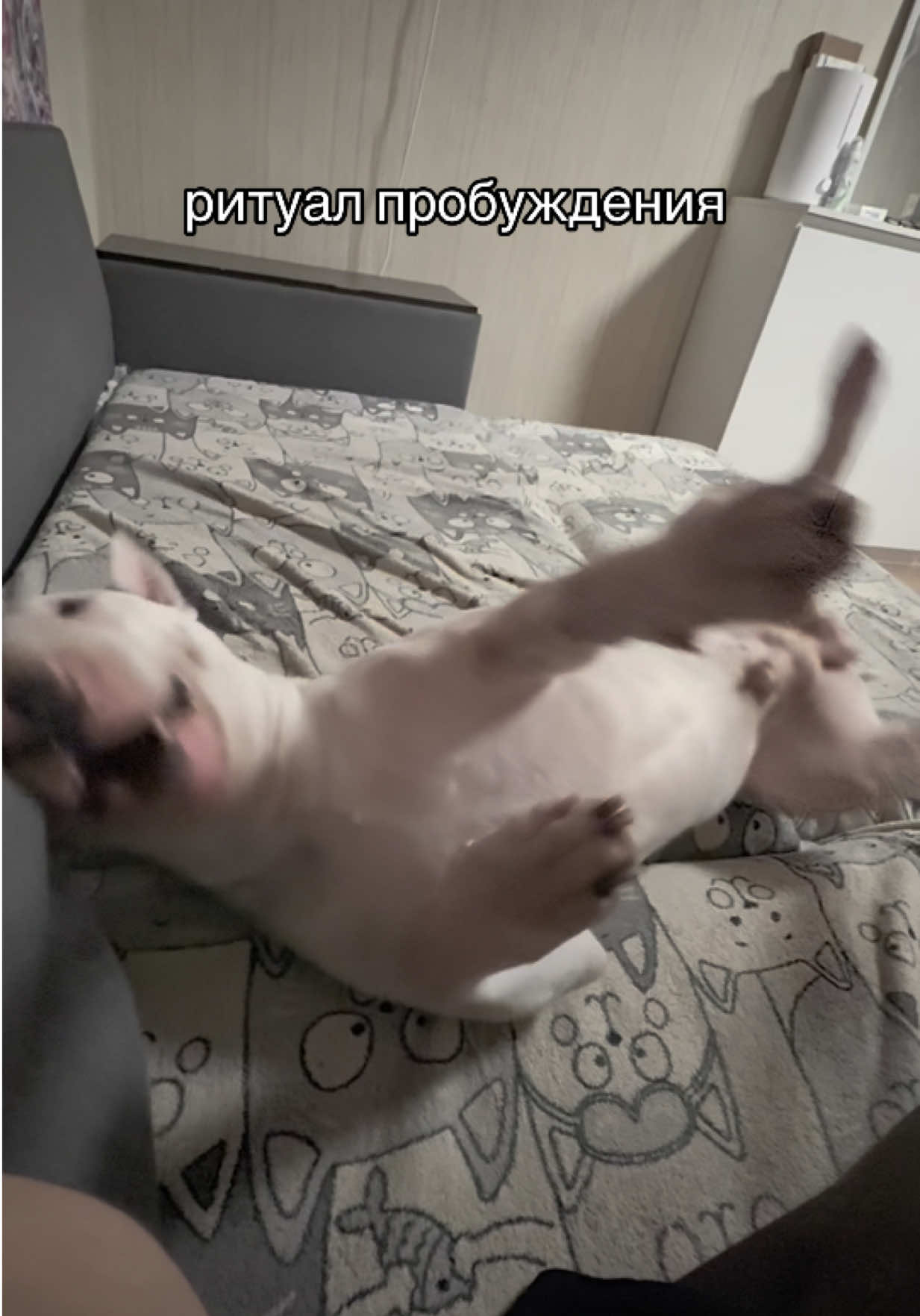 @пикми Ричард