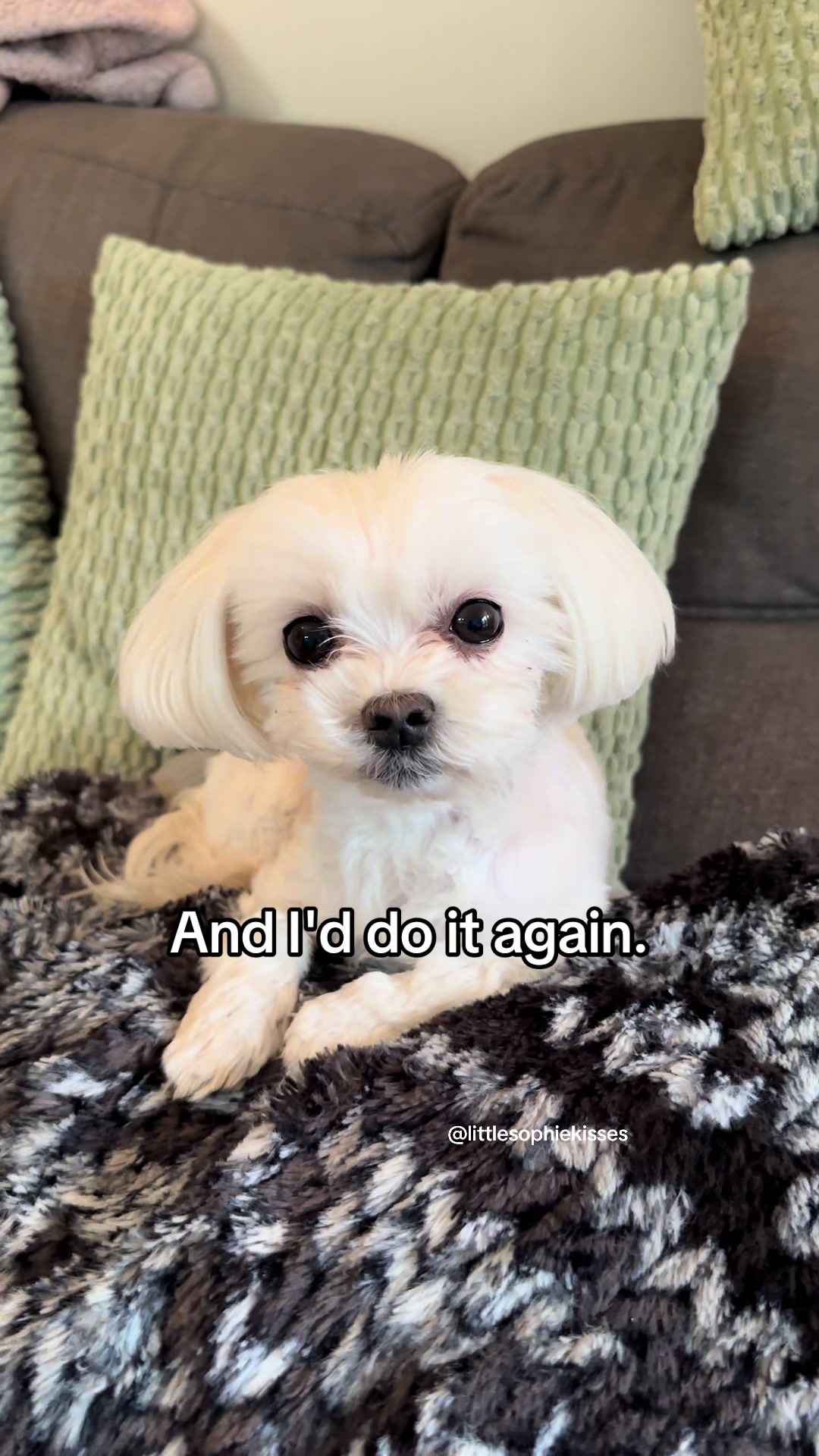 @Little Sophie kisses