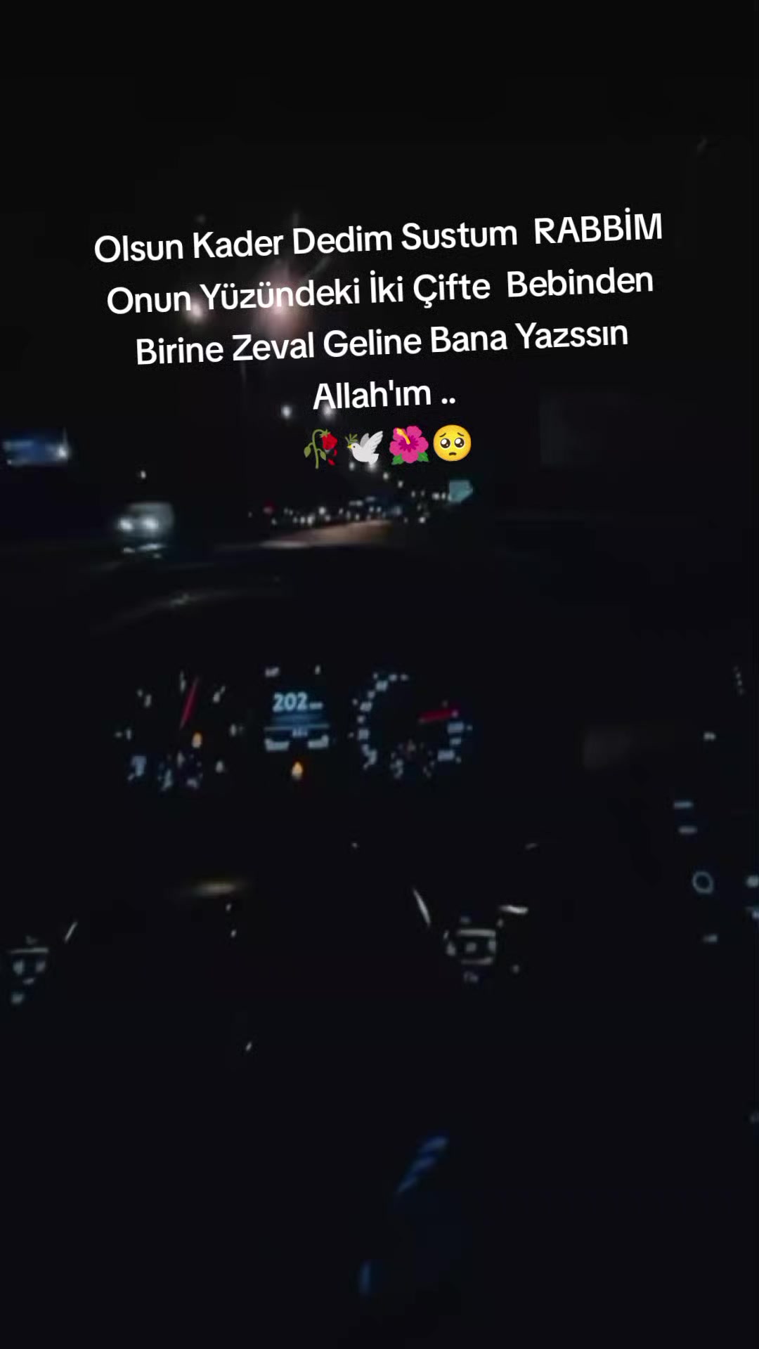 @ᴄᴇᴘɴɪ33.01