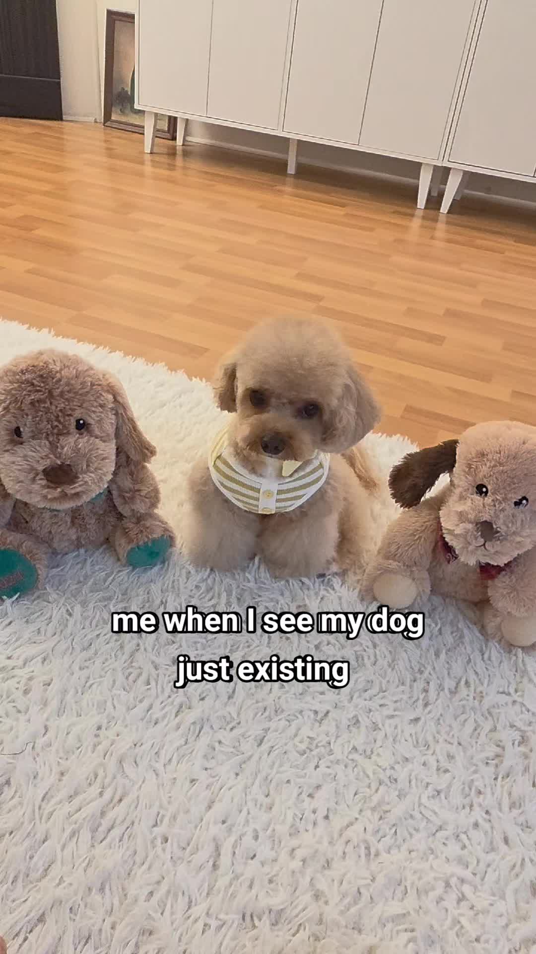 @Teddy12_22