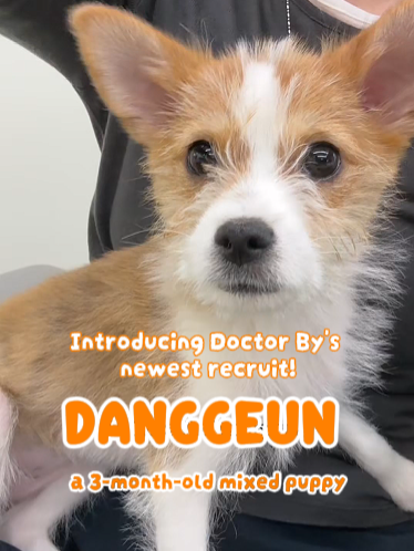 @Doctor By