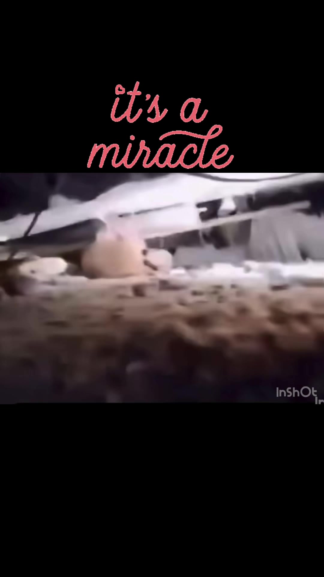 @Ebe2505_