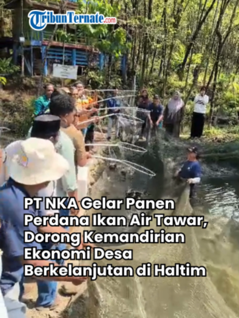 @TribunTernate.com