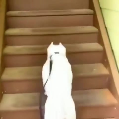 @JMSN