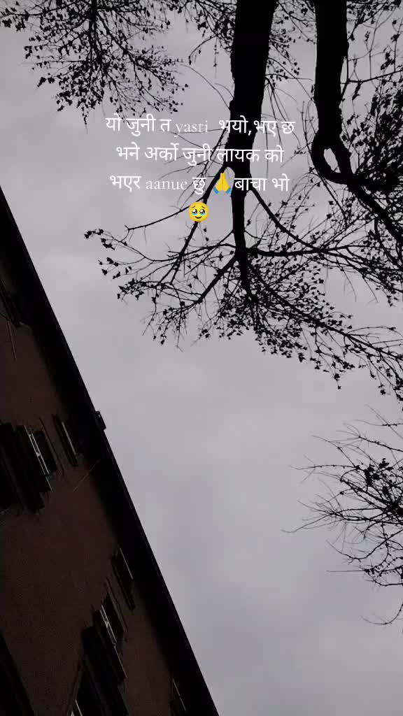 @🌺Aavagi म 🌺