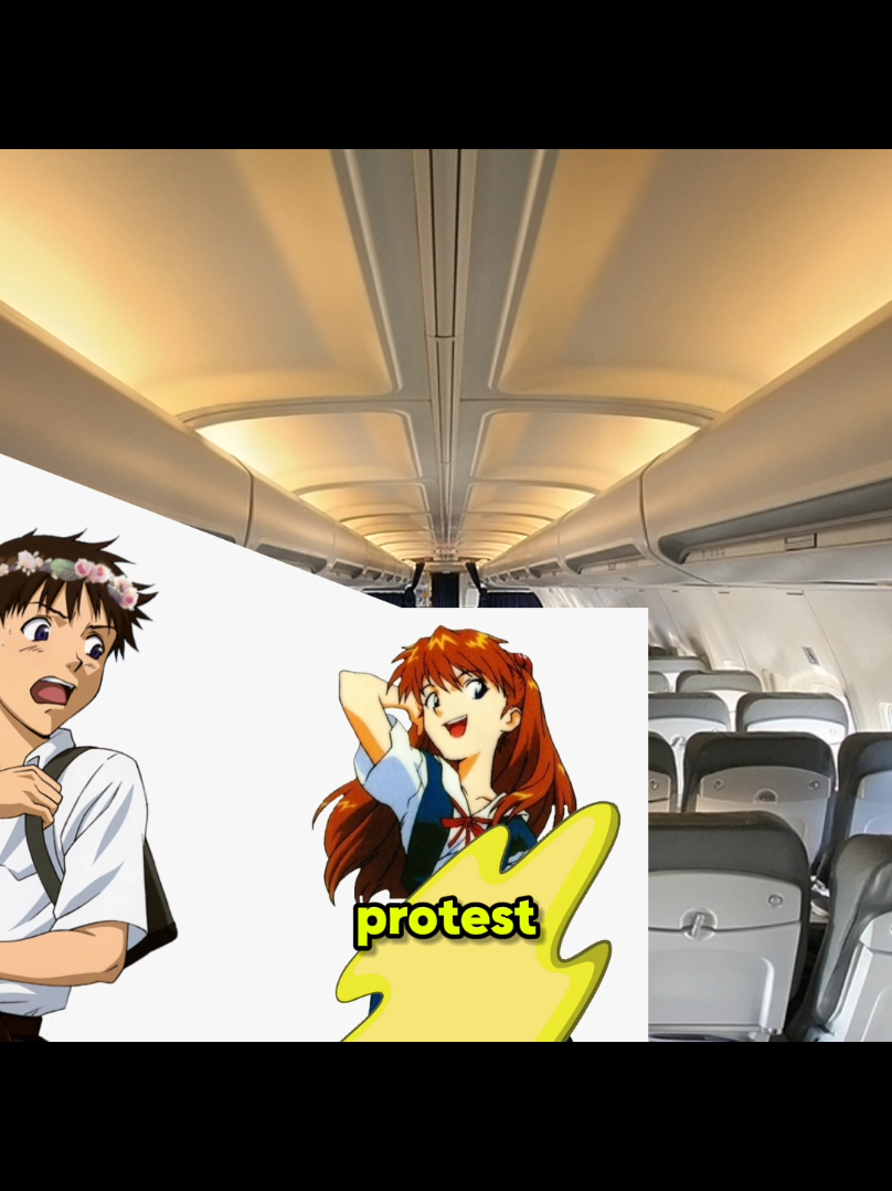 @🐢Tortillos Rex Games/Tokomaru