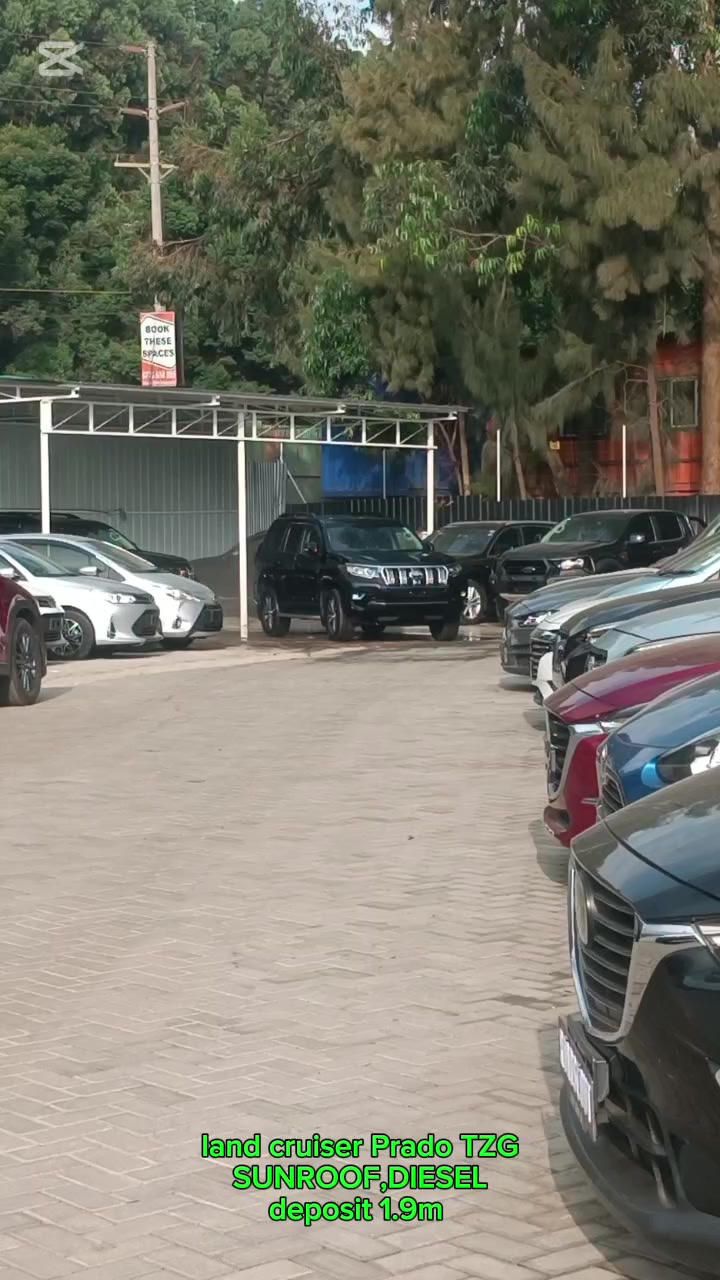 @JOLYD motors