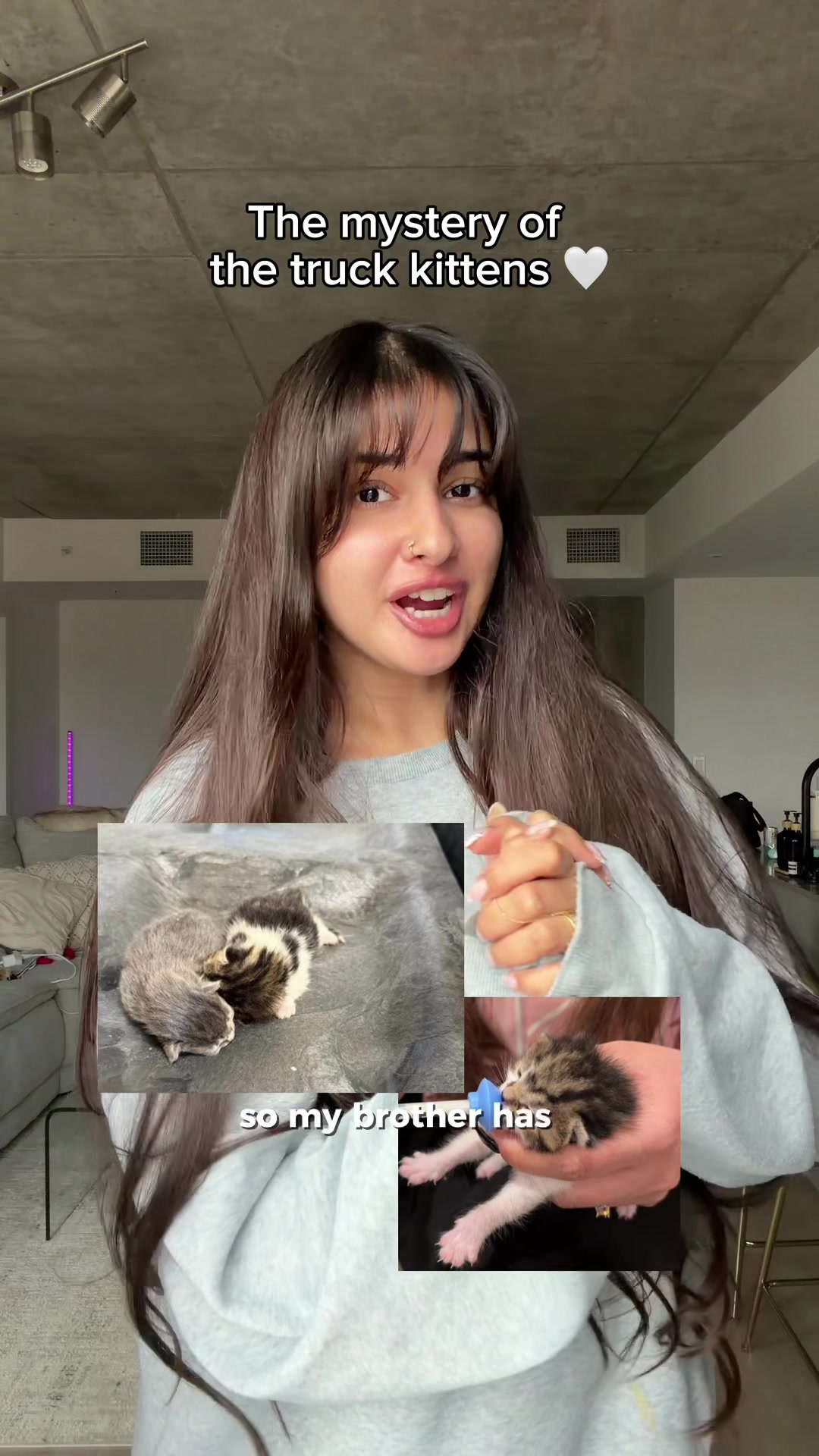 @Mahnoormtl