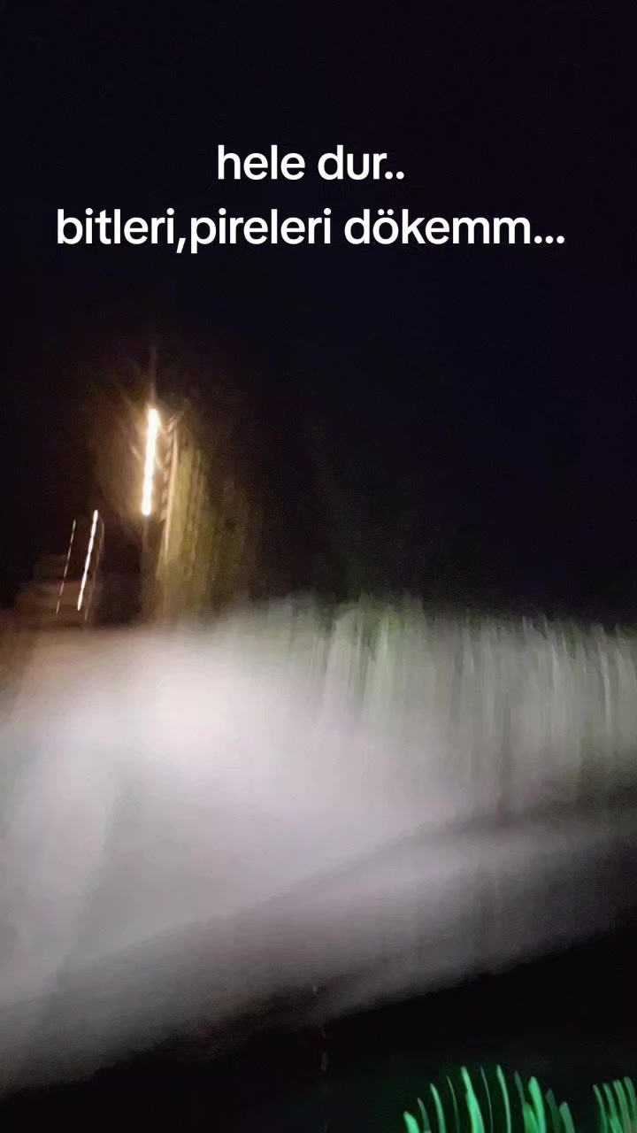 @Serap ince çiftliği