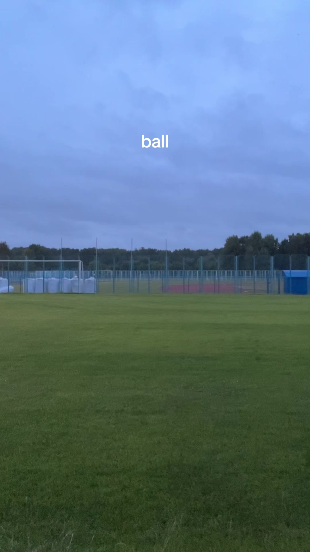 @petbratik